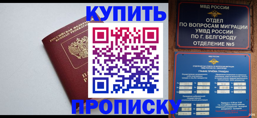 прописка регистрация в Славгороде